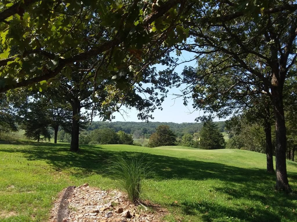 23980 Shadow Lake Dr, Wheatland, MO 65779